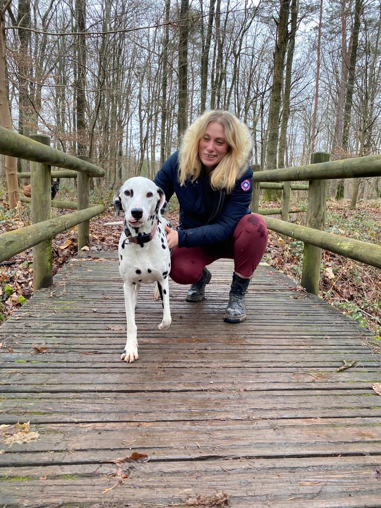 Créateur de la page Gurwan Benoit 